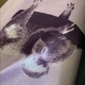 Meet your Posher, Krishna